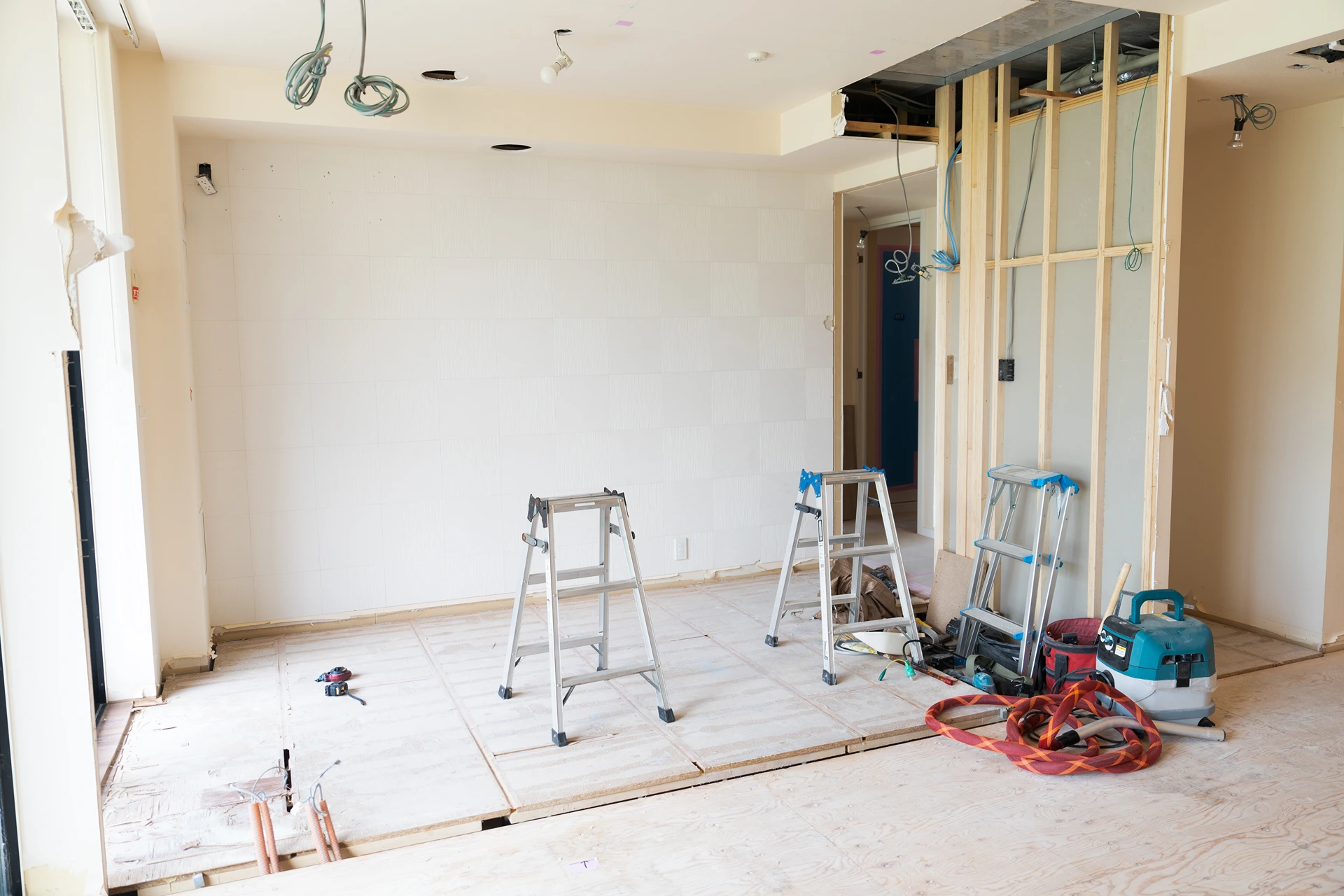 shutterstock_2385884215